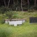 포항시남구45 이미지