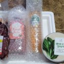 노아의숲 이미지