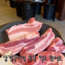 육돈 이미지