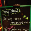 [신촌 술집] <배터지는파닭>~! 분위기있는 술집인데 치킨집임??ㅋㅋ