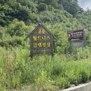 제천 글램핑 : 청풍월드니스글램핑장 후기 / 청풍랜드 빅스윙