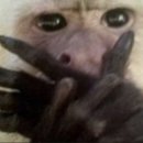 충무아트센터 중극장 블랙 이미지