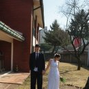 짜잔 | 용산공원 야외 웨딩스냅 후기 (결과물 짜잔!)