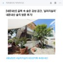 살라지살리 | [내돈내산] 골목 속 숨은 감성 공간, '살라지살리' 내돈내산 솔직 방문 후기! 🌿☕