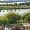 수정역 1번 출구 덕천방향 이미지