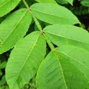 종기농장 이미지