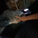 김병결 | 26. 실기고사가 끝이 났습니다~♡☆♡