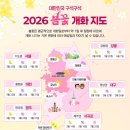 [2026 봄꽃 개화 지도] 봄 감성 제대로 즐기는 전국 봄나들이 명소 &amp; 로컬 축제 총정리 이미지