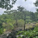 파회주차장 이미지