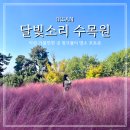 원대 수목원 | 익산 핑크뮬리 명소 달빛소리 수목원 힐링 데이트코스 추천