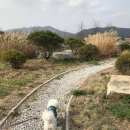 반창꼬동물병원 이미지