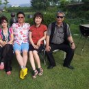 팽고 팽고 이미지