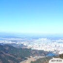 월광농장 이미지