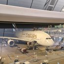 인천원탑 짐 | 에미레이트항공 기내식 탑승후기(인천-두바이-바르셀로나, 리스본-두바이-인천)