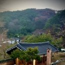 썬바이오 이미지