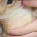 보보캐터리 네이버블로그