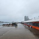 심원자연 | 시간과 바다가 교차하는 관문, 속초항: 실향민의 애환과 해양 역사의 심원(深遠)을 걷다