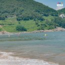 모사금해수욕장 이미지