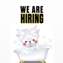 애견 스파 receptionist 구해요 이미지