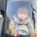 오린이마트 | 11.24~11.30😊