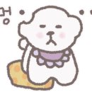 모모애견미용실 이미지
