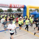 남구미로-3 이미지