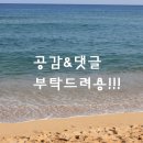 한가네숯불닭갈비 :: 인계동 깔끔한 닭갈비집