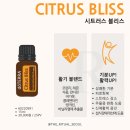 블리스50 이미지
