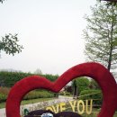 침곡농장 | 곡성 섬진강 기차마을 여행후기