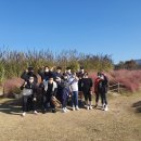 블로썸 핏 네이버블로그