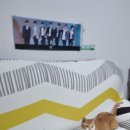 주식회사 소나무처럼 이미지
