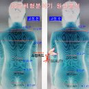 위드미뷰티