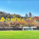 수성구민운동장 이미지