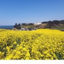 디어퐁퐁 이미지