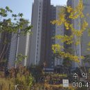 용이푸르지오2차아파트 주변 이미지