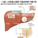 고콜레스테롤혈증 1차 치료제, 스타틴 크레스토정 이미지