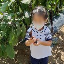 소룡농장 이미지