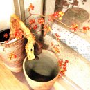 파아란님의 꽃 그릇에 담긴 이야기...^*^ 이미지