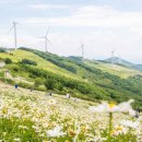 육백마지기 이미지