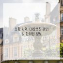 초곡365한의원 | 갑자기 찾아온 따끔한 통증, 알고 보니 대상포진! 포항 한의원 정보와 함께 속 시원하게 관리해 봐요!