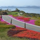 거제 드비치 골프클럽 이미지