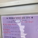 화암파크 | [강원] 강원도 여행 3일차 정선여행 _ 화암동굴