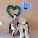 힐스테이모텔 | 용평리조트 블리스힐스테이 용평리조트숙소 솔직후기