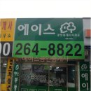 Wellnessclinic동물병원