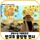 싱가포르 센토사섬 가볼만한곳 반고흐 몰입형 전시 입장료 할인 후기