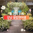 셀럽앤어셈 견적 식대 후기 예랑이가 유독 관심보였던 곳