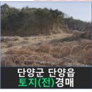 단양군단양읍노동보건진료소 | 충청북도 단양군 토지(전)경매, 단양군 단양읍 마조리 325 # 2021타경1369 #