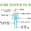 오아시스약국 이미지