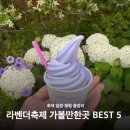 전북특별자치도 정읍시청 | 라벤더축제 아이랑 가볼만한곳 BEST 5 (일정·입장료 총정리)