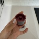 알리스테이 이미지